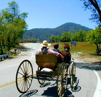 Horse drawn carriage