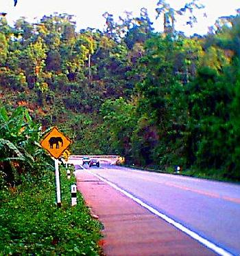 Watch for Elephants