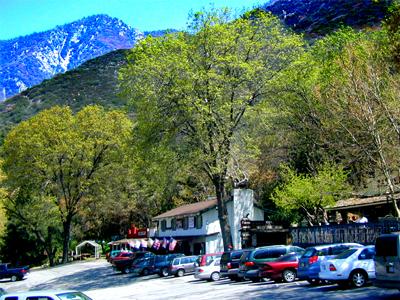 Oak Tree Village