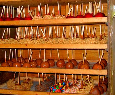 Toffee Apples